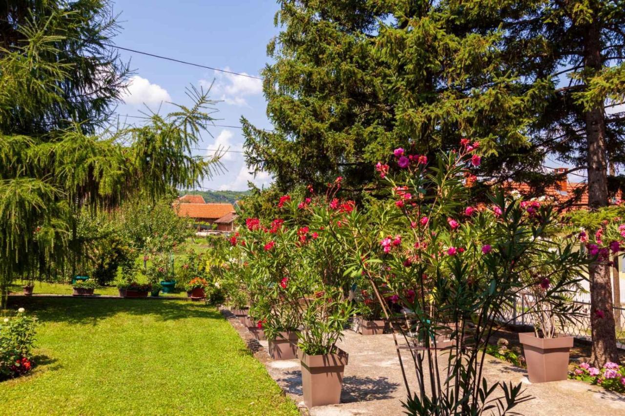 Studio 2 Golubac Dış mekan fotoğraf
