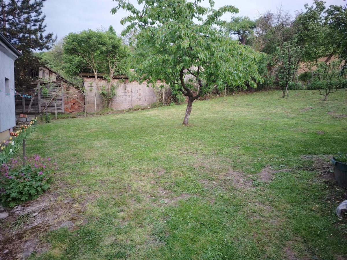Studio 2 Golubac Dış mekan fotoğraf